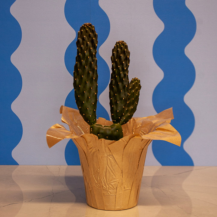 4" Road Kill Cactus