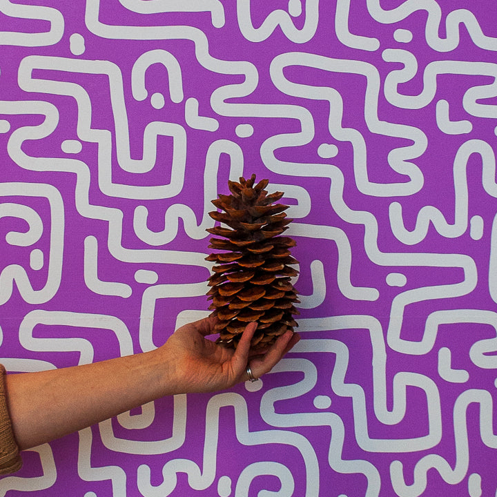 Sugar Cones