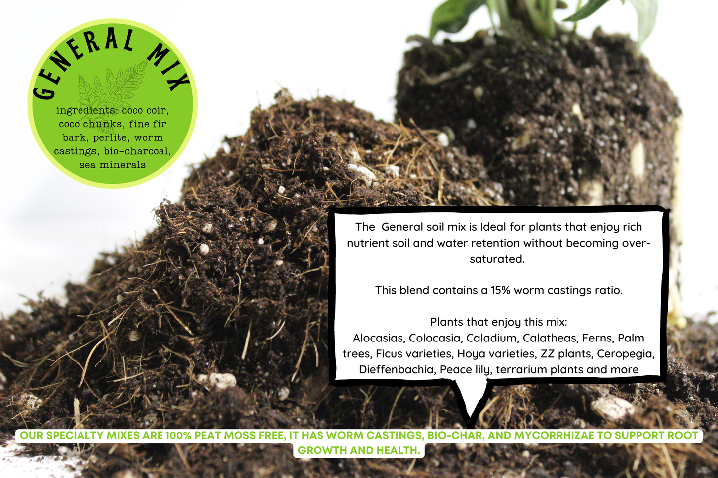 Maya General Blend-Potting Soil 3L