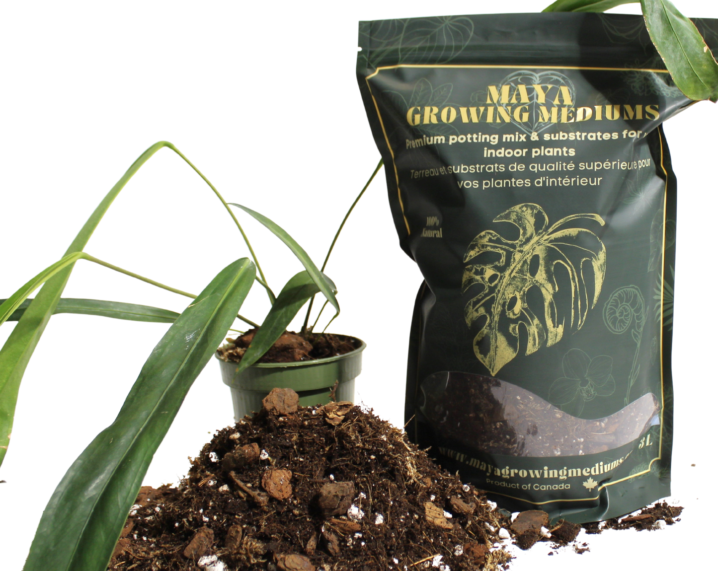 Aroid blend- Potting soil 3L