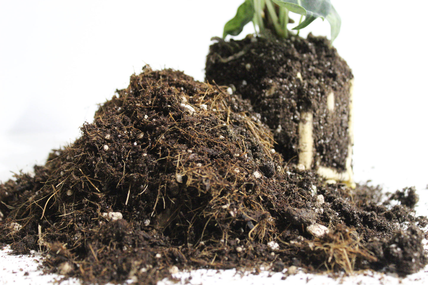 Maya General Blend-Potting Soil 3L